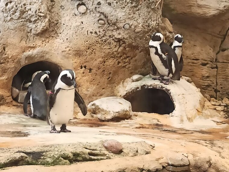 Kuwait_The_Scientific_Centre_10