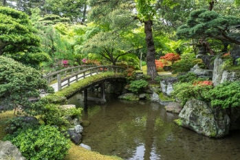 Kyoto_Kyoto_Imperial_Palace_SS_3