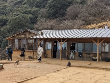 Arashiyama Monkey Park Iwatayama