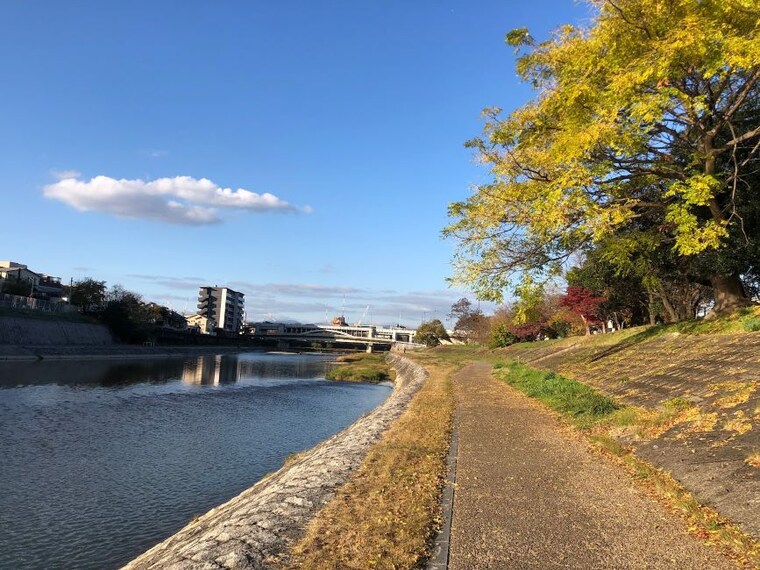 Kyoto_Kamogawa_River_5