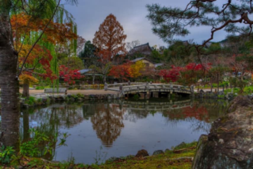 Kyoto_Maruyama_Park_3