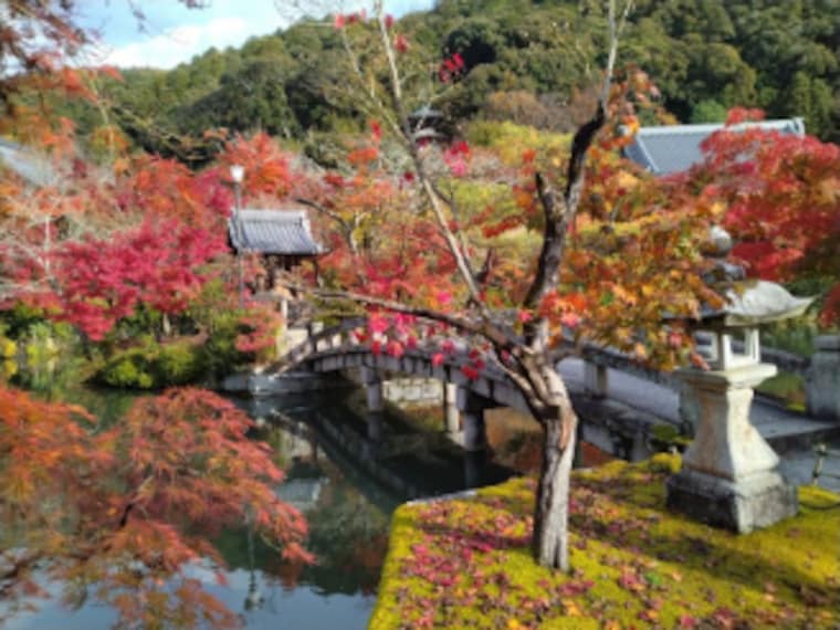 Kyoto_Zenrinji_Temple_1