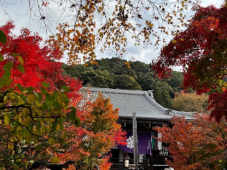 Kyoto_Zenrinji_Temple_8