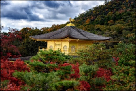 Kinkaku ji