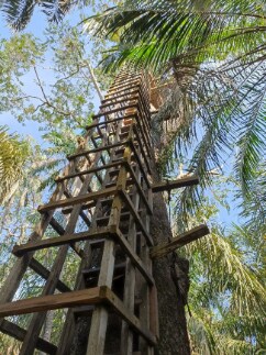 Lagos_Lekki_Conservation_Centre_5