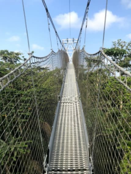 Lagos_Lekki_Conservation_Centre_1