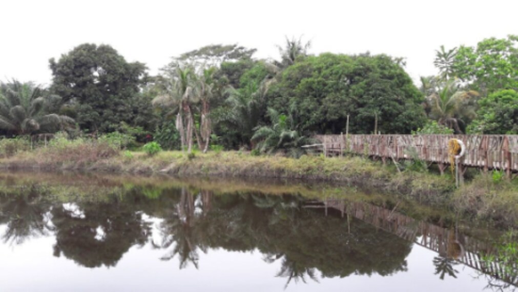 Lagos_Lufasi_Nature_Park_3