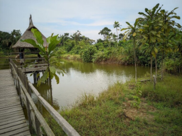 Lagos_Lufasi_Nature_Park_6