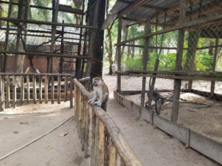 Lagos_Lufasi_Nature_Park_9