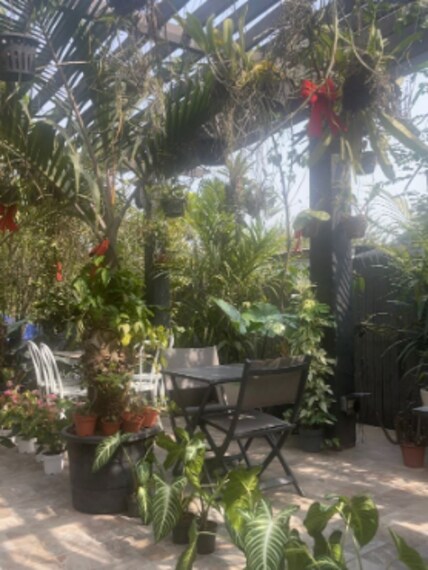 Lagos_The_Orchid_Bistro_Express_5