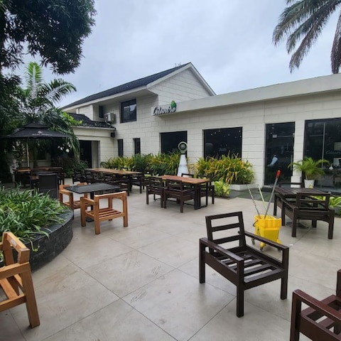 Cilantro Lagos
