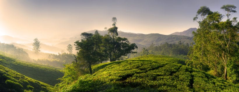 Nature Treks & Trails