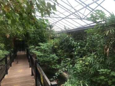 Leeds_Tropical_World_2