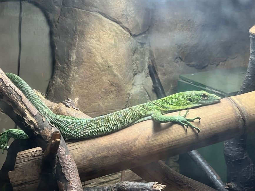 Leeds_Tropical_World_5