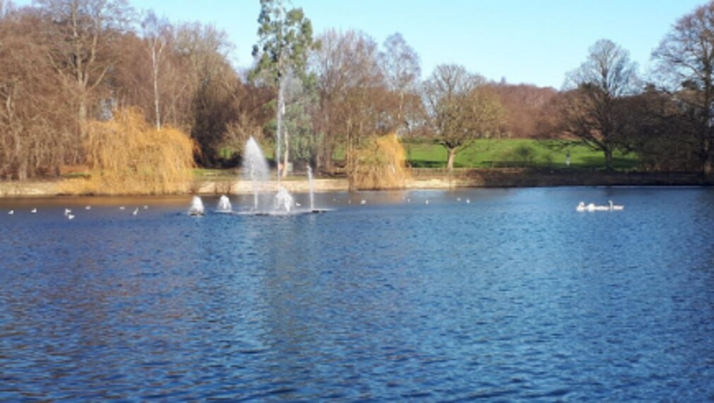 Leeds_Roundhay_Park_1