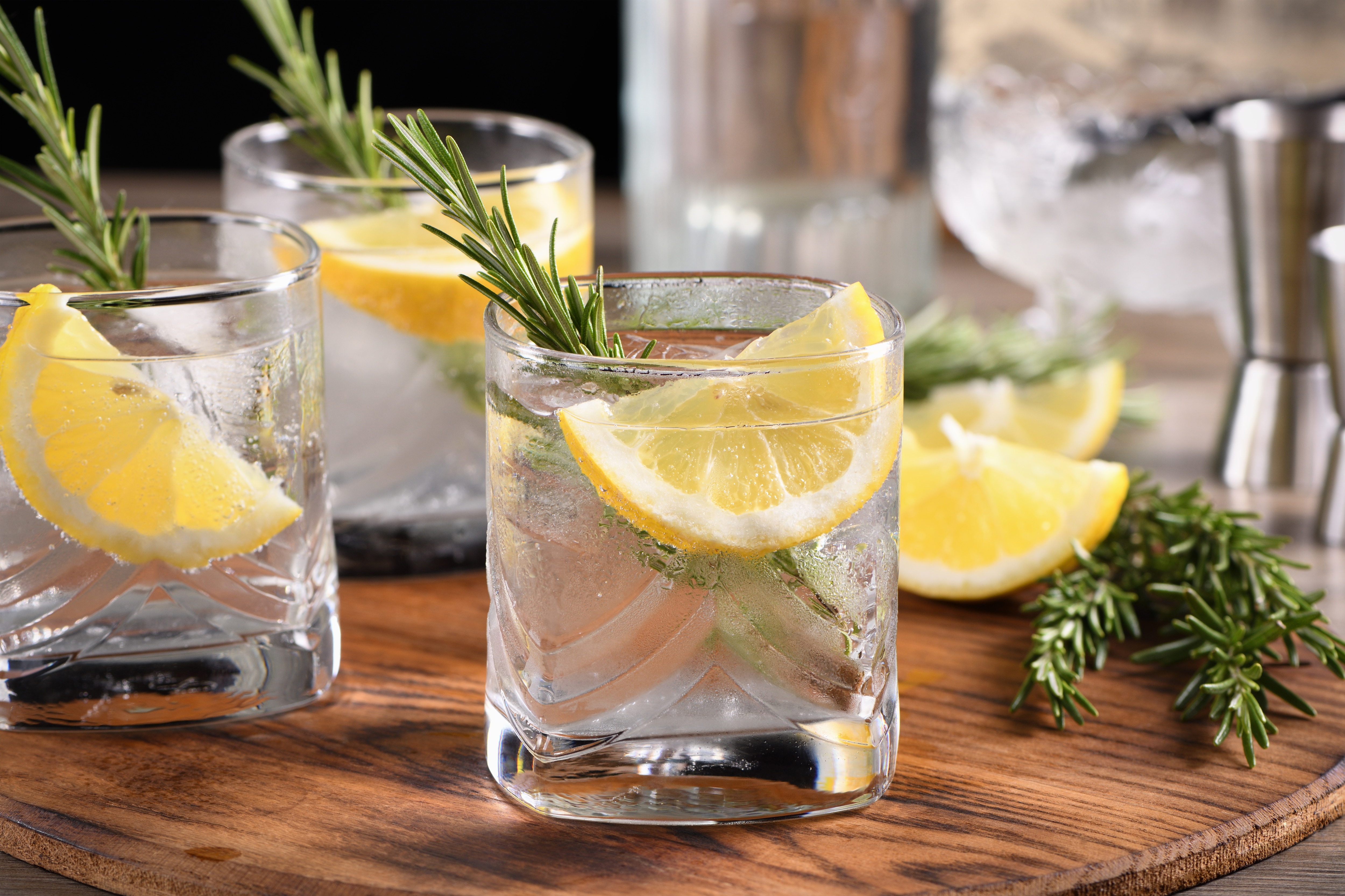 Gin & Cocktail Workshop
