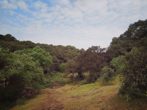 mahabaleshwar_chinaman_s_falls_3