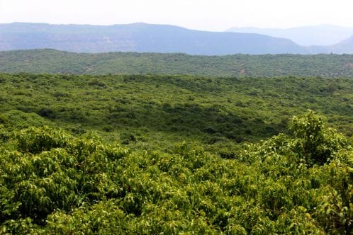 mahabaleshwar_connaught_peak_1