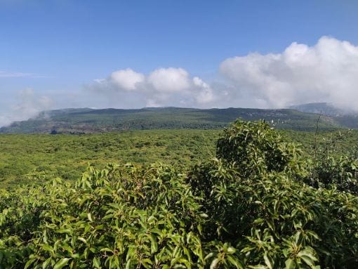 mahabaleshwar_connaught_peak_3