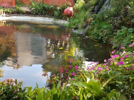 mapro_garden_1