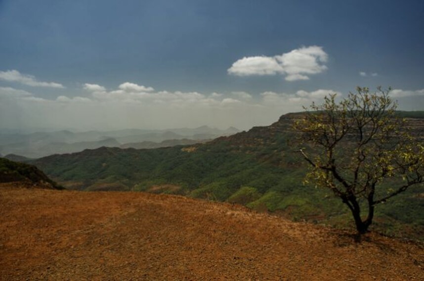 elephants_head_point_1