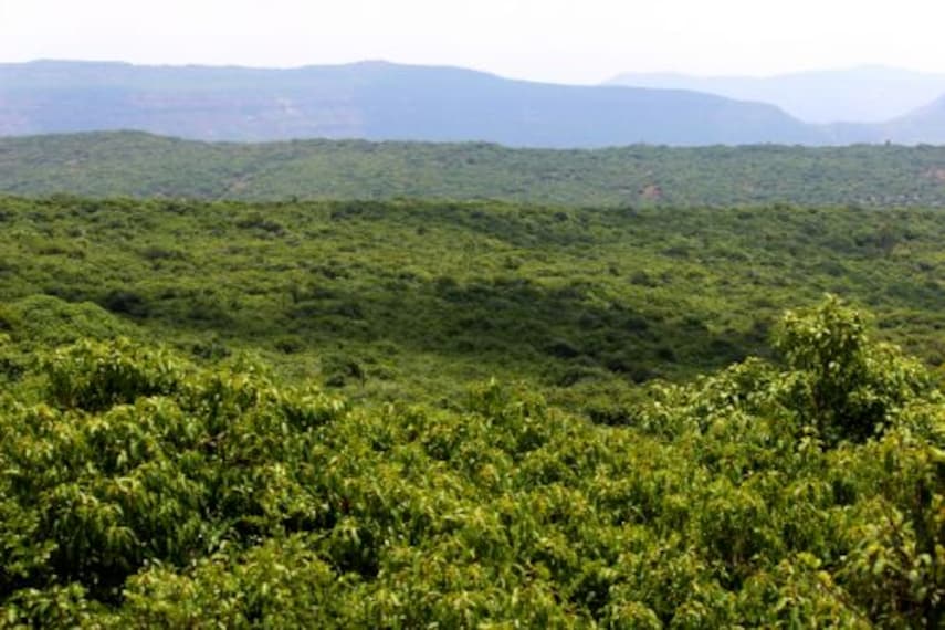 mahabaleshwar_connaught_peak_1