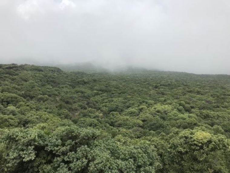 mahabaleshwar_connaught_peak_5