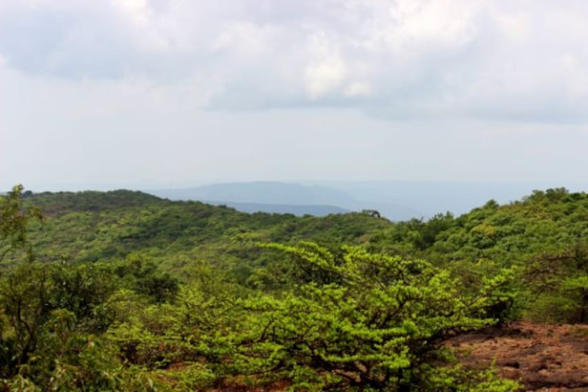 wilson_point_3