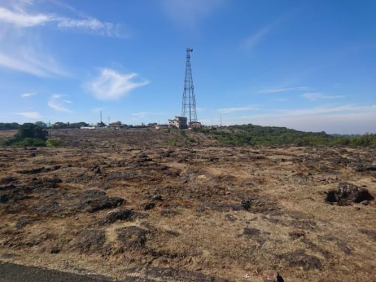 wilson_point_4