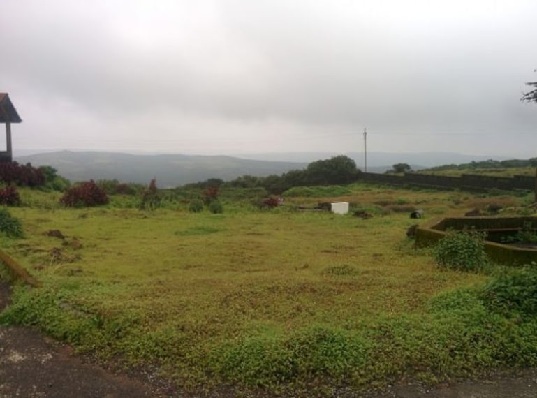 wilson_point_5