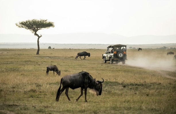 Masai_Mara_dest_4