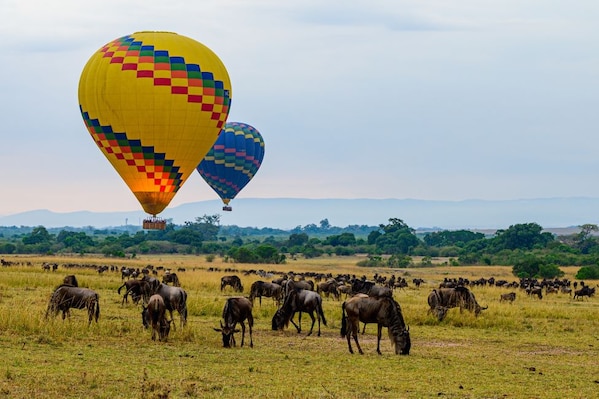 Masai_Mara_dest_5