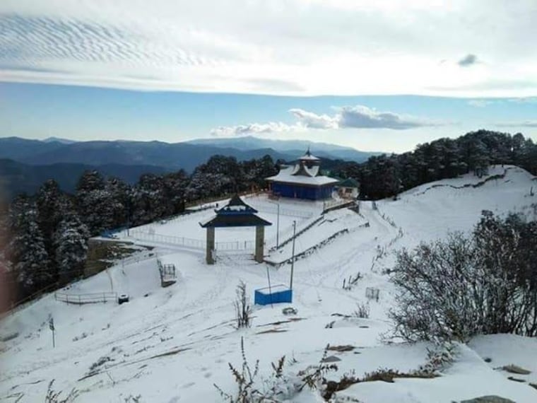 narkanda_narkanda_kudrat_camp