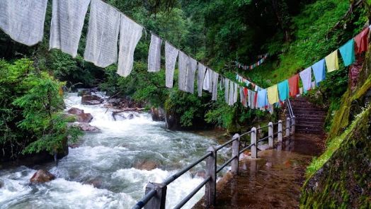 paro_chumphu_nye_4