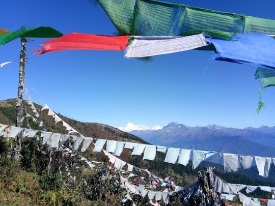 paro_dasho_nishioka_chorten_4