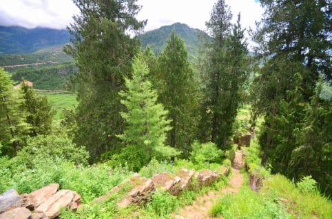 paro_drukgyal_dzong_2