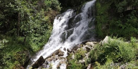 paro_jigme_singye_wangchuck_national_park_3