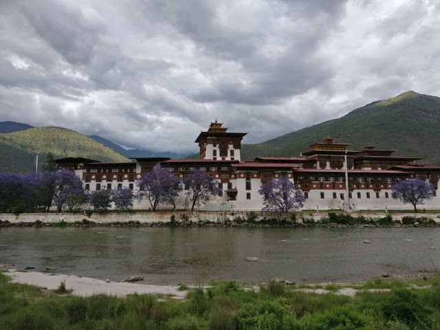 paro_jigme_singye_wangchuck_national_park_5