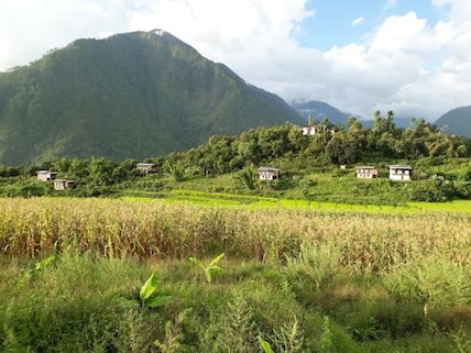 Birdwatch at Jigme Singye Wangchuck National Park