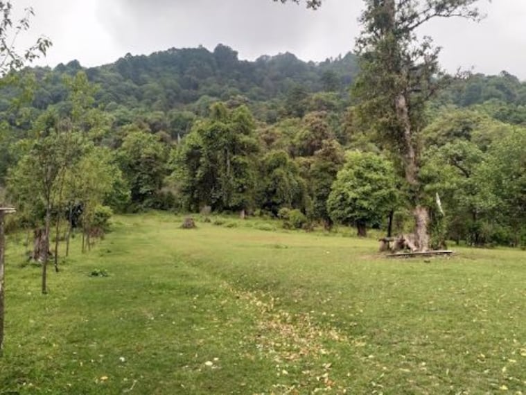 paro_royal_botanical_garden_1