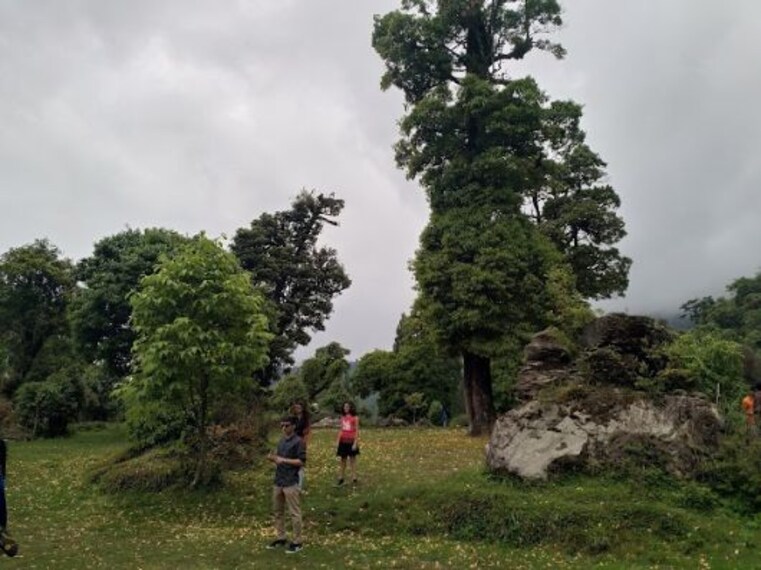 paro_royal_botanical_garden_2