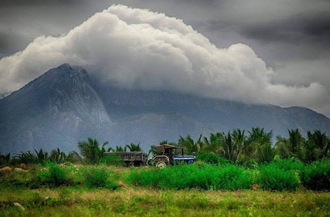 Pollachi, Tamil Nadu
