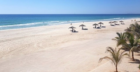 Go Boating at the Sea of Oman