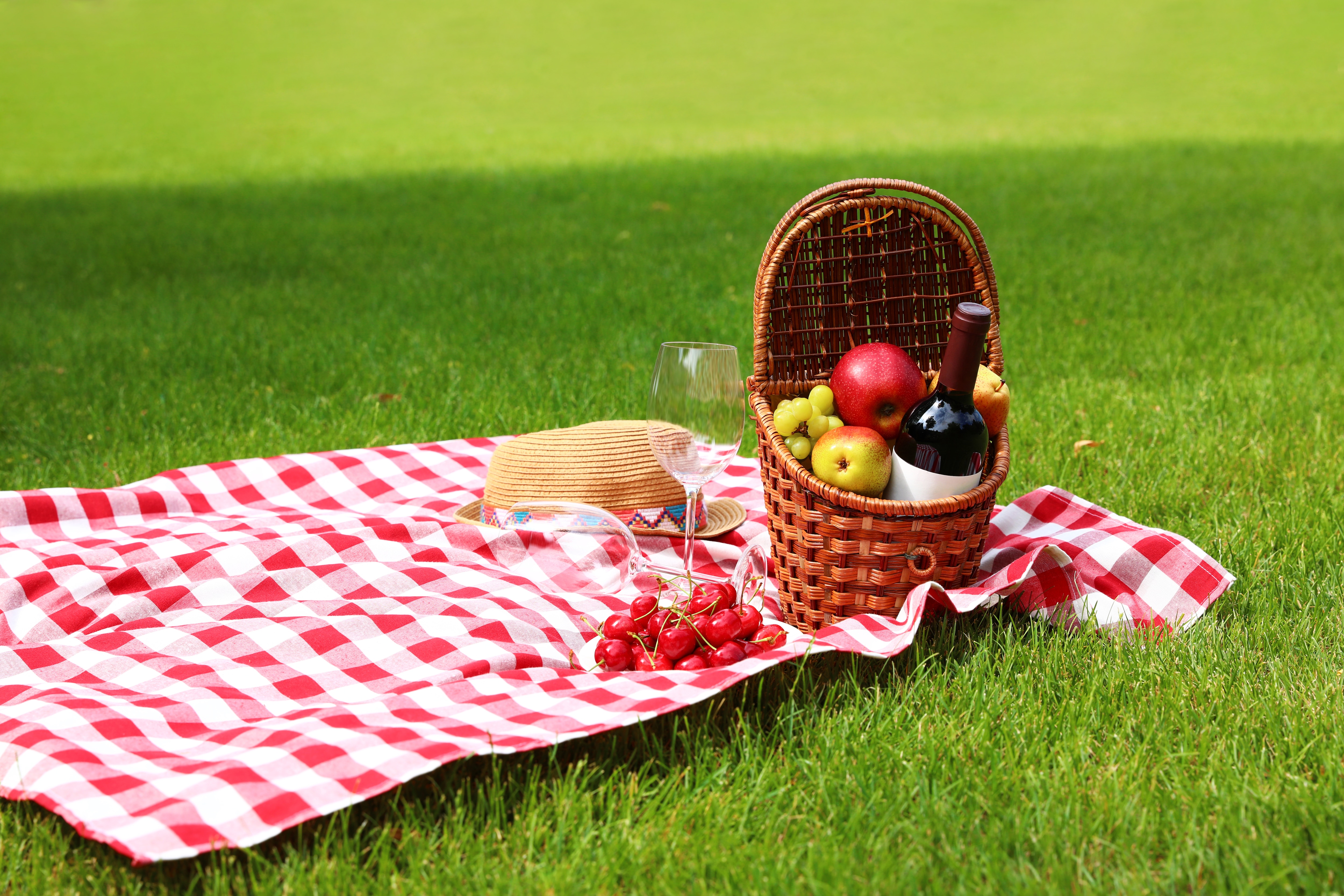Outdoor Picnic Setup