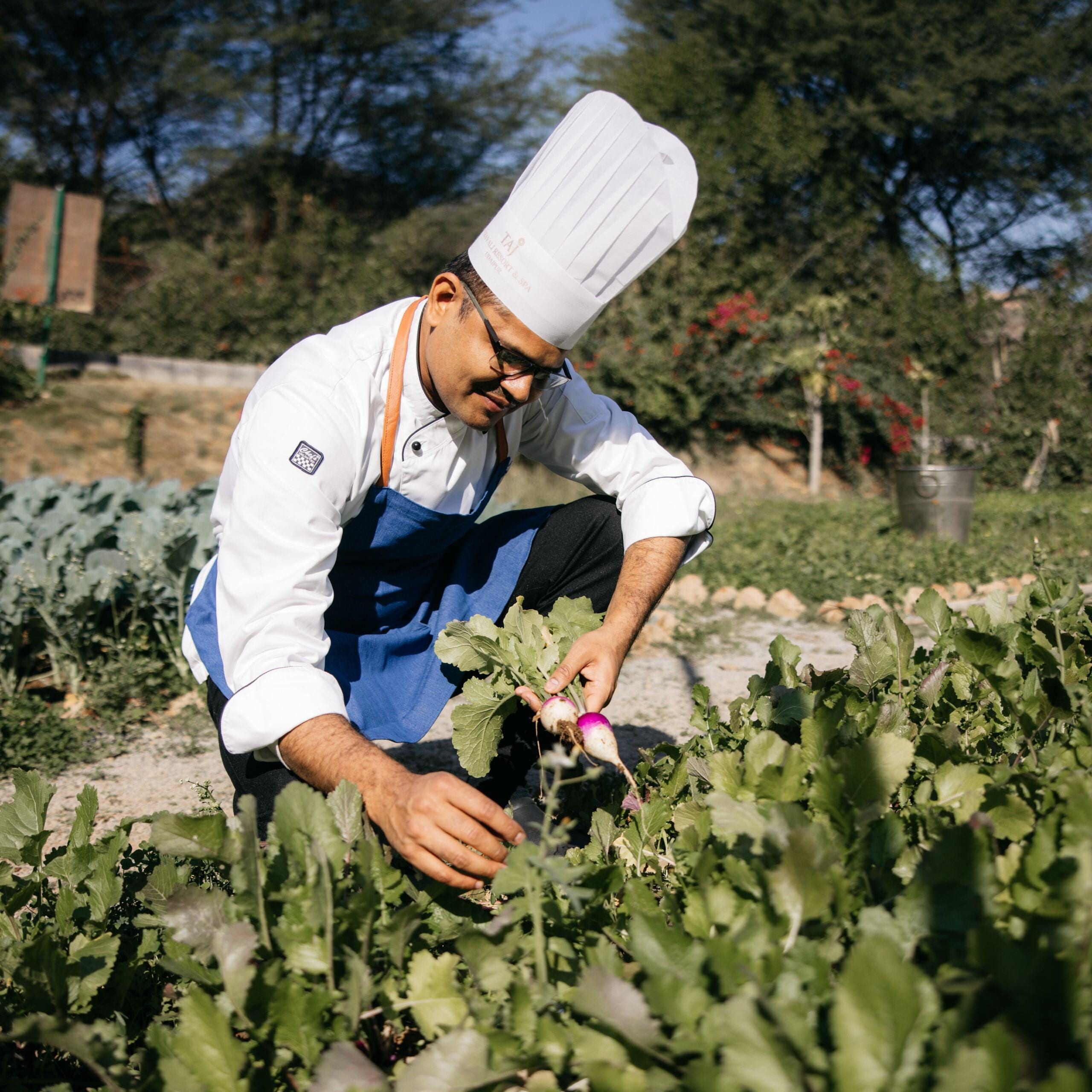 Farm to Table Dining