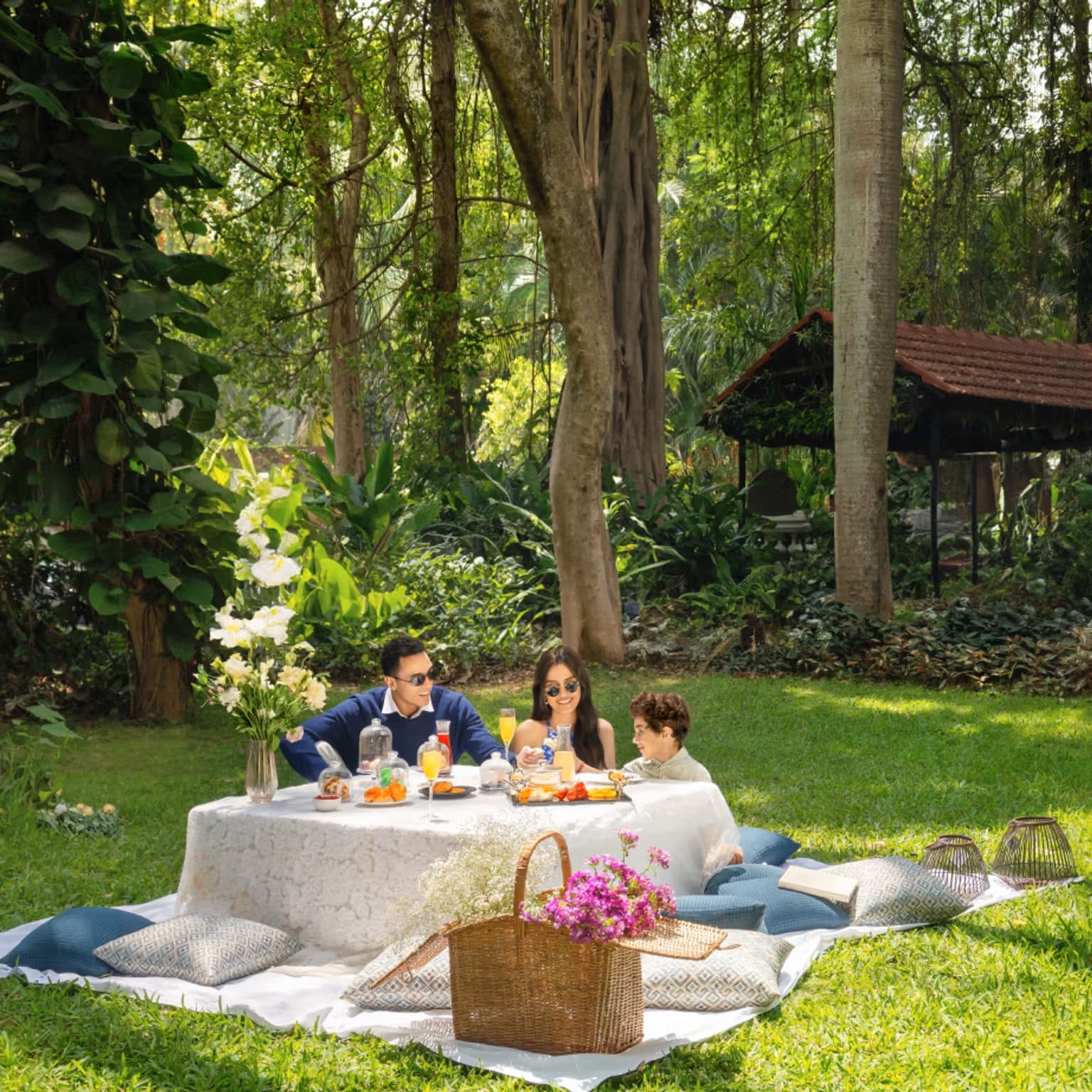 Lawn Picnic