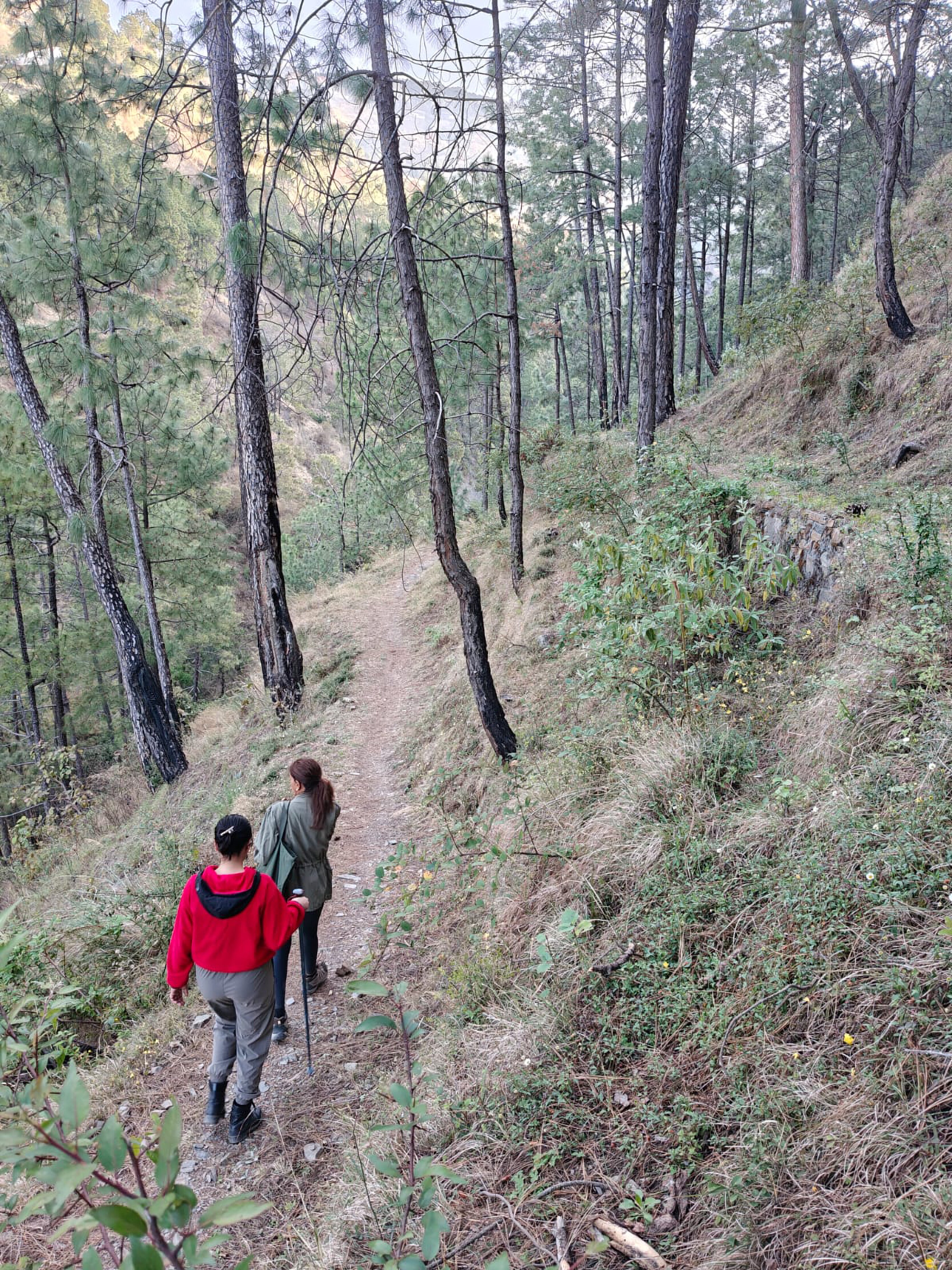 Guided Nature Treks & Walks