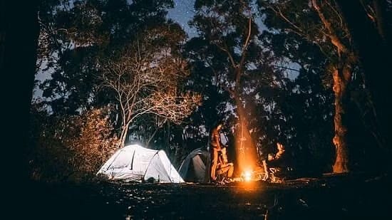 Overnight Camping & Forest Picnic Setups