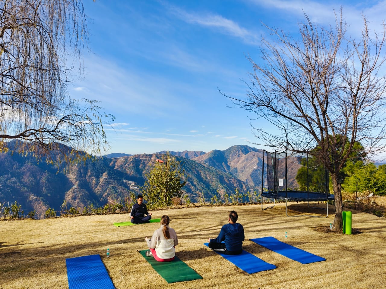 Guided Yoga Sessions