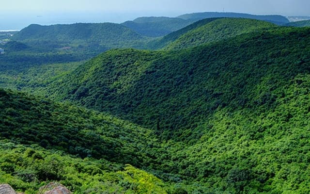 Visakhapatnam Kambalakonda Wildlife Sanctuary Landscape Image